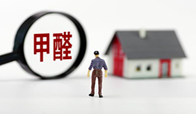 &#108;&#101;&#121;&#117;&#20048;&#40060;