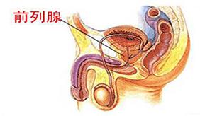&#108;&#101;&#121;&#117;&#20048;&#40060;