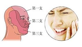 &#108;&#101;&#121;&#117;&#20048;&#40060;