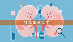 &#108;&#101;&#121;&#117;&#20048;&#40060;