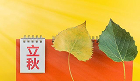 &#108;&#101;&#121;&#117;&#20048;&#40060;