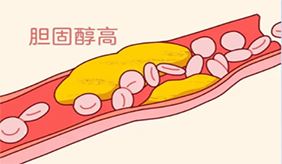 &#108;&#101;&#121;&#117;&#20048;&#40060;